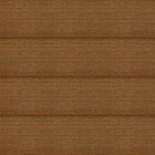 Золотой дуб, павловния, 50-50